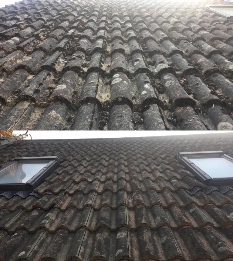 Moss wimbledon roof clean