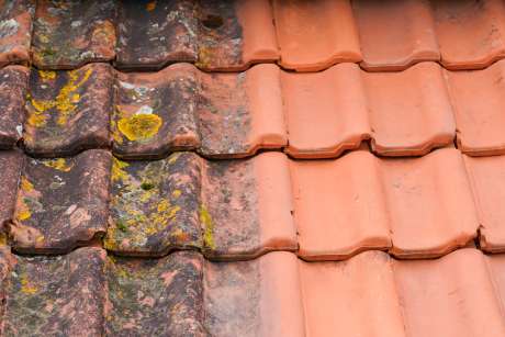 Roof Cleaning